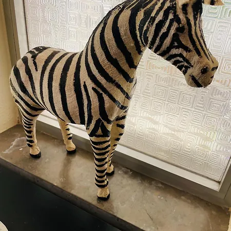 Casa Do Flamingo Villa *